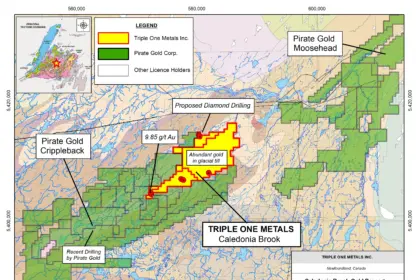 Triple One Metals Congratulates Pirate Gold on Major Copper-Gold Discovery at Crippleback