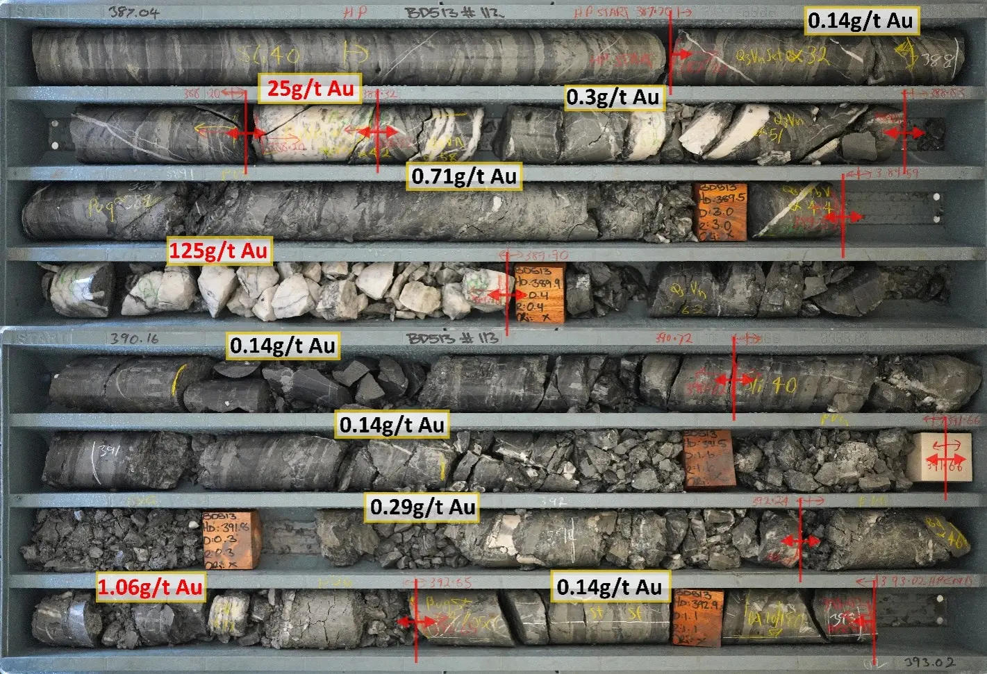 Tray photograph and gold grades of the Kiwi Zone in drillhole BD513. The mineralisation is quartz-dominated in contrast to the upper Brunswick South structure, and occurs at a low angle to the west-dipping bedding, following the Kiwi Fault plane. This is dissimilar to K-R mineralisation beneath Brunswick Main where vertical veins are bound between the hangingwall and footwall planes of the fault slice due to the flattening of the Kiwi and Rooster Fault structures, being more aligned with a Youle-like geometry.