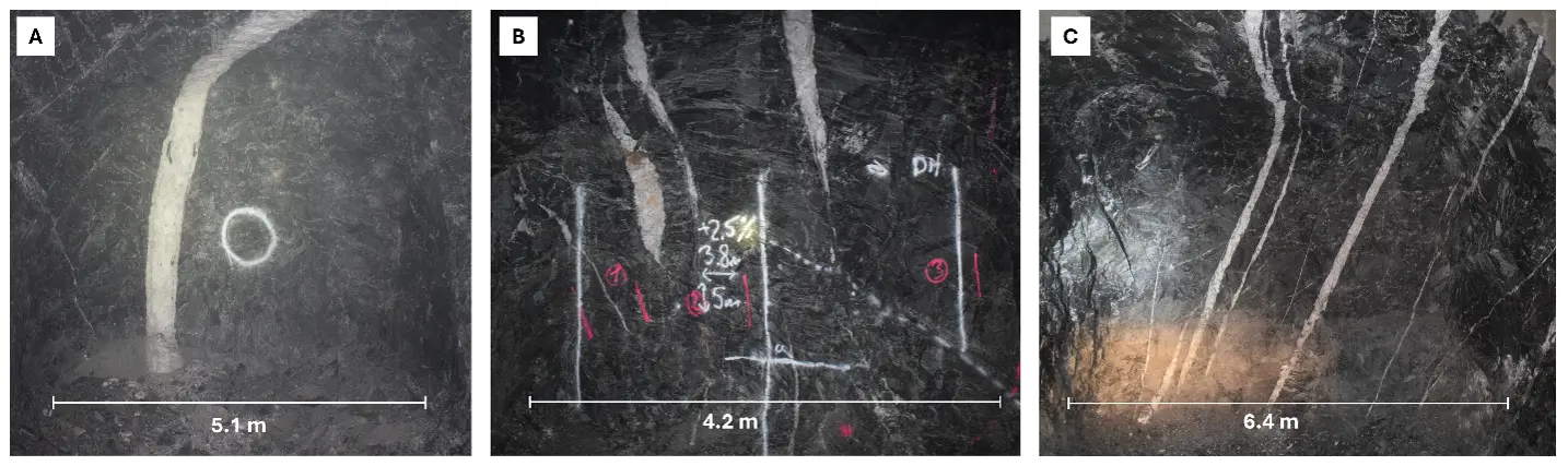 Typical auriferous quartz veining observed at Björkdal. (A) Main Zone. (B) Lake Zone. (C) Lake Zone Above.
