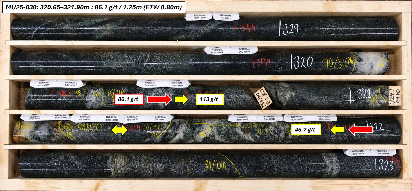 Core tray photograph from MU25-030, where the highest-grade interval of the drill program was intersected.