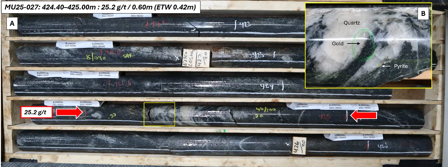 Drill core photos from MU25-027 showing an intercept grading 25.2 g/t gold over 0.60 m (ETW 0.42 m) (A) and a close-up of mineralised quartz vein (B).