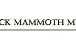 Black Mammoth Metals Closes $24M Private Placement