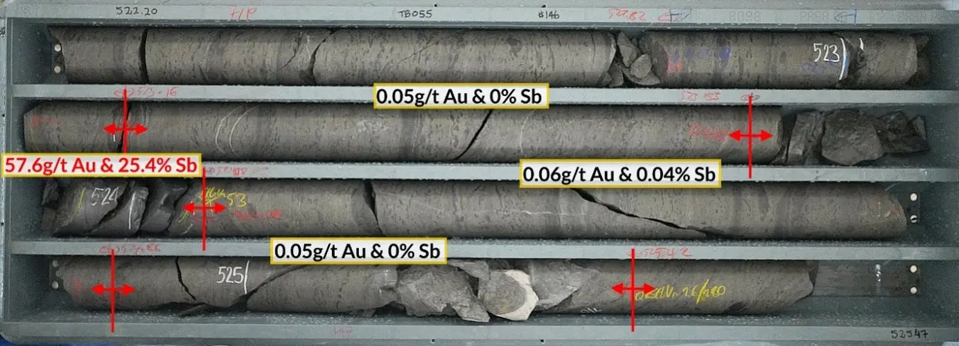 Core tray photo of the Freeman vein intercept described in this announcement, 57.6g/t gold and 25.4% antimony over 0.25m (ETW 0.20m) in drillhole TB055. The intercept is stibnite-rich with only minor quartz while still carrying significant gold, a common characteristic of the Freeman vein.