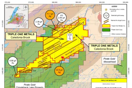 Triple One Metals Identifies Drill Targets in Emerging Newfoundland Copper-Gold Belt