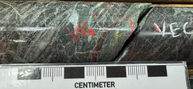 Figure 3_vg