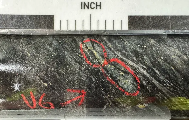 Figure 5_vg