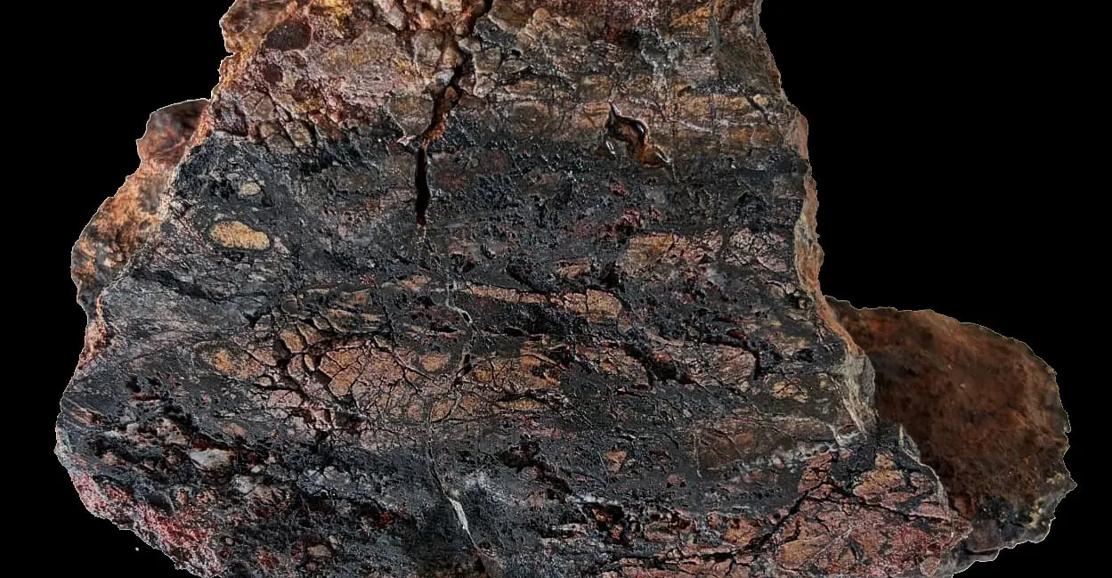 Figure 4 - July 9