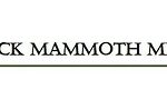 Black Mammoth Metals Appoints Chris Foster as a Director and Applies for a Listing in the US