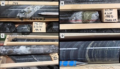 Figure 4. Diamond drill core from Killerö W drilling. A) chalcopyrite-pyrrhotite-bearing quartz-carbonate vein (KW-001, 144.0m); B) Chalcopyrite-rich quartz-carbonate vein (KW-002, 211.8m) (211.4-212.4m 1m @ 0.98% Cu); C) Pyrrhotite-bearing quartz-carbonate vein (KW-002, 238.0m); D) Foliation parallel sulfides (KW-002, 363m). Figure 4. Diamond drill core from Killerö W drilling. A) chalcopyrite-pyrrhotite-bearing quartz-carbonate vein (KW-001, 144.0m); B) Chalcopyrite-rich quartz-carbonate vein (KW-002, 211.8m) (211.4-212.4m 1m @ 0.98% Cu); C) Pyrrhotite-bearing quartz-carbonate vein (KW-002, 238.0m); D) Foliation parallel sulfides (KW-002, 363m).