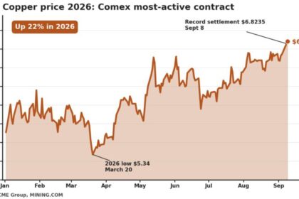 Copper price pauses below record as China’s imports slump, mine supply heads for first drop since 2017