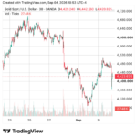 Investors buoy gold price as central banks slow