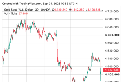 Investors buoy gold price as central banks slow
