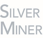 SILVER VIPER ANNOUNCES RESIGNATION OF DIRECTOR