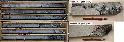 Figure 3.  Hole QVD-475: Core samples from interval 390.0 to 395.0 meters.High-grade mineralization is prominently featured in specific sub-intervals from within the main interval.