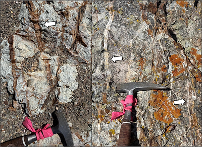 Figure 4 – Separate Sets of Sheeted Quartz Veins at Mustang North.