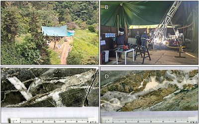 Figure 2 Yarumalito Project 2026 drilling program. A & B: drill rig set up at Yarumalito Project.C: YAR-45 drill core from interval 189.0 to 190.5 m depth, grading 1.59 g/t Au, 0.19% Cu & 3.6 g/t Ag.D: YAR-45 drill core from interval 184.9 to 185.6 m depth, grading 1.07 g/t Au, 0.20% Cu & 8.8 g/t Ag. Figure 2 Yarumalito Project 2026 drilling program. A & B: drill rig set up at Yarumalito Project.C: YAR-45 drill core from interval 189.0 to 190.5 m depth, grading 1.59 g/t Au, 0.19% Cu & 3.6 g/t Ag.D: YAR-45 drill core from interval 184.9 to 185.6 m depth, grading 1.07 g/t Au, 0.20% Cu & 8.8 g/t Ag.