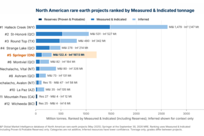 Volta doubles Springer rare earths, eyes 2027 study