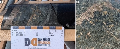 Figure 1: Drill core from ML26 005 at 33.4 metres downhole, showing visible gold (circled) in a narrow sulphide- and diopside-rich calc-silicate shear, at the margin of a pyrrhotite–pyrite–quartz–chalcopyrite stockwork vein (A; scale in centimetres). B: closer view of the visible gold in a separate photograph, with gold grains circled.